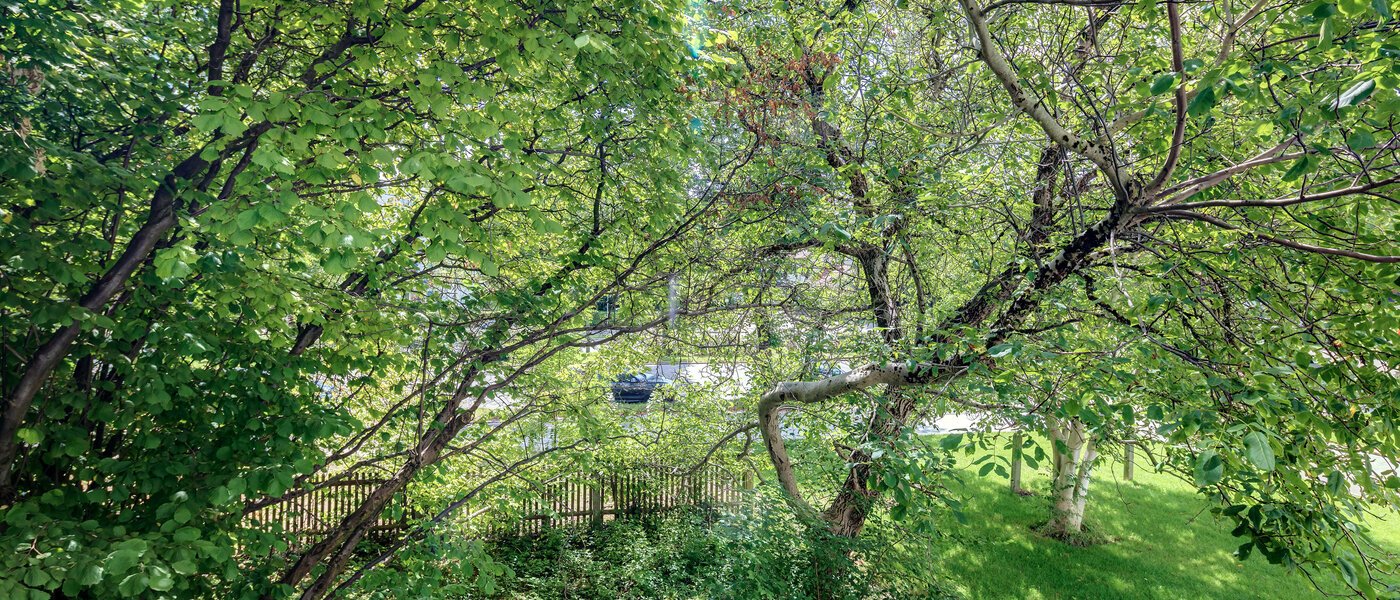 apartamento München Bogenhausen 02 vista 10643