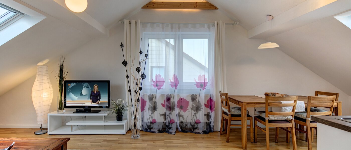 ático Eching 04 salón 10655