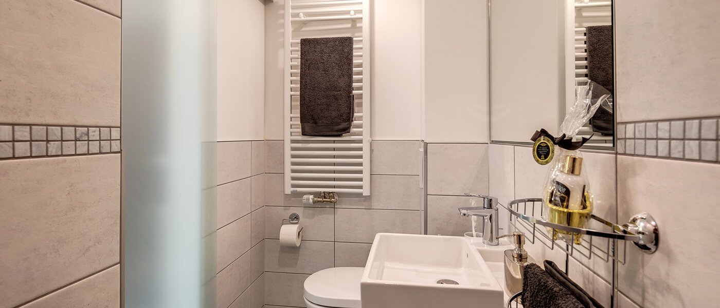 apartamento München Lochhausen 01 baño 10673