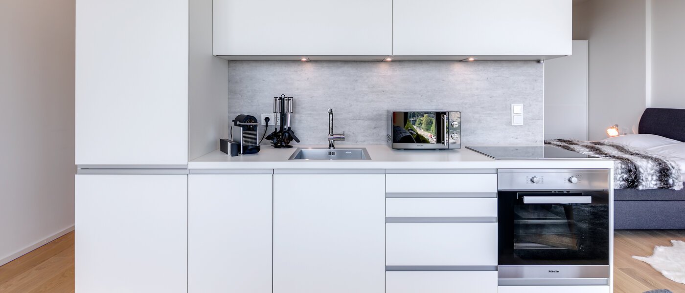 apartamento München Nymphenburg 04 salón 10689