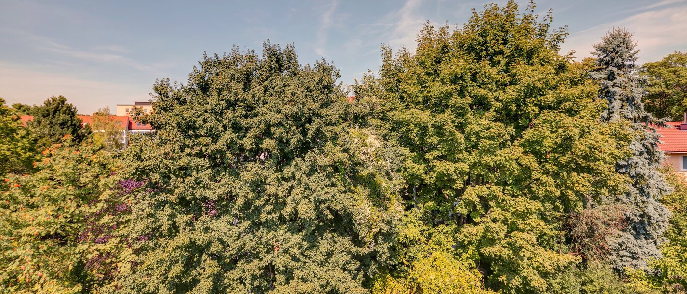 apartamento München Ramersdorf 02 vista 10733