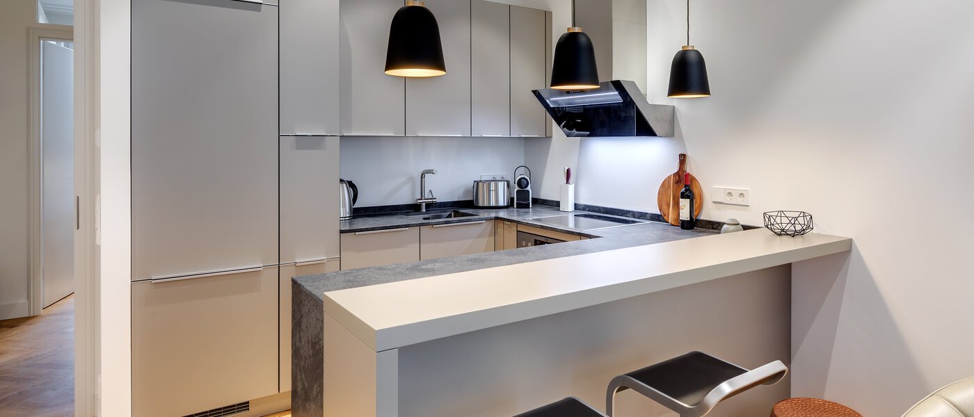 apartamento München Maxvorstadt - Rund um den Josephplatz 01 cocina 10848