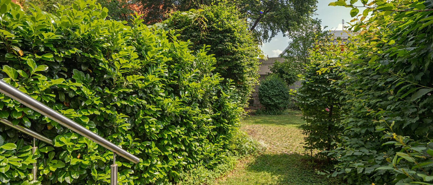 apartamento München Haidhausen 01 vista 10914