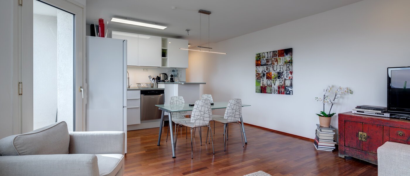 apartamento München Parkstadt Bogenhausen 04 salón 10945