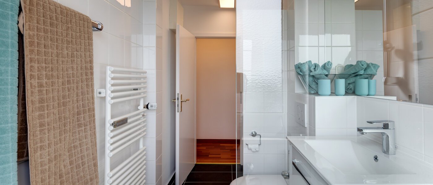 apartamento München Parkstadt Bogenhausen 04 baño 10945