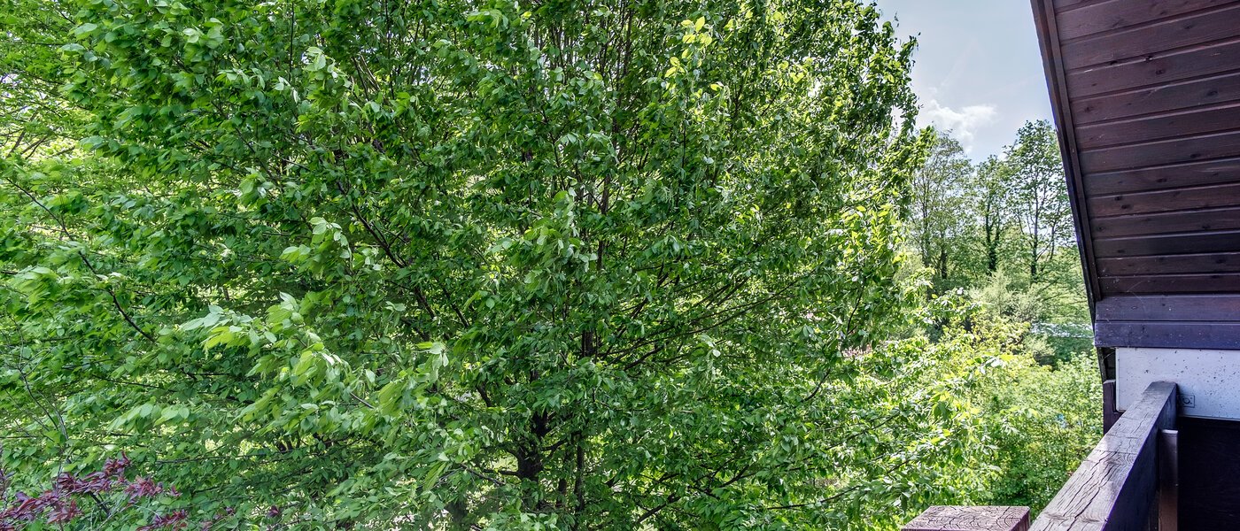 dúplex München Oberföhring 05 vista 10997