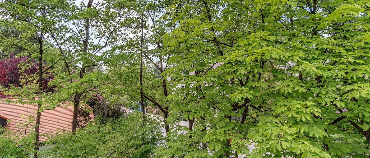 dúplex München Oberföhring 07 vista 10997