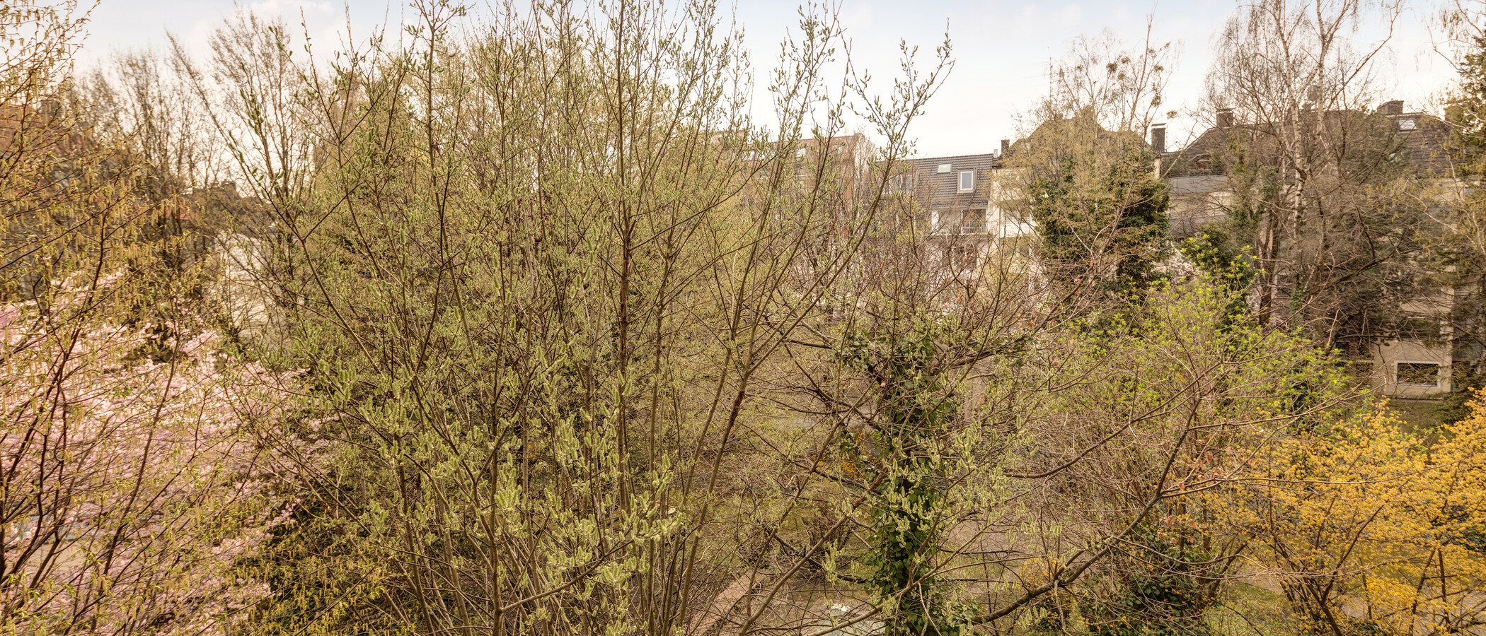dúplex München Schwabing-West (rund um den Hohenzollernplatz) 02 vista 11000