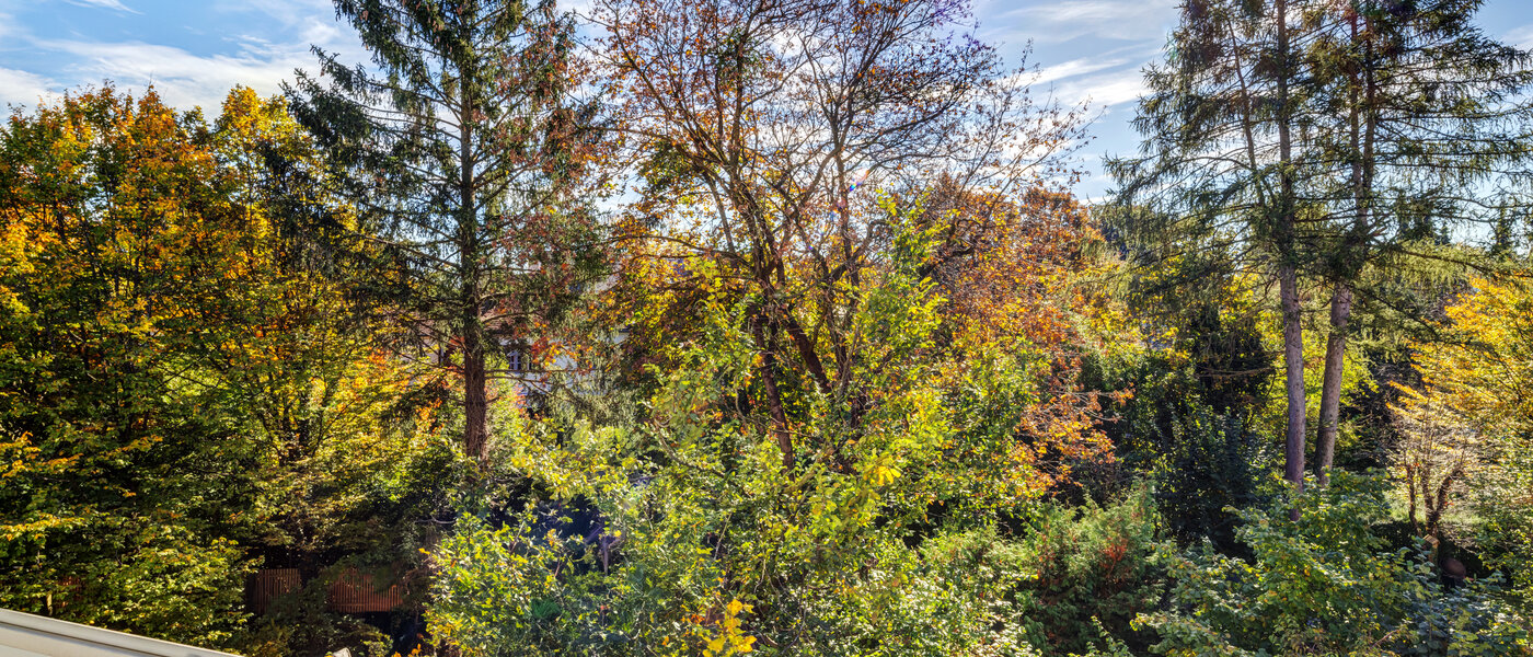 apartamento München Nymphenburg 01 vista 11055