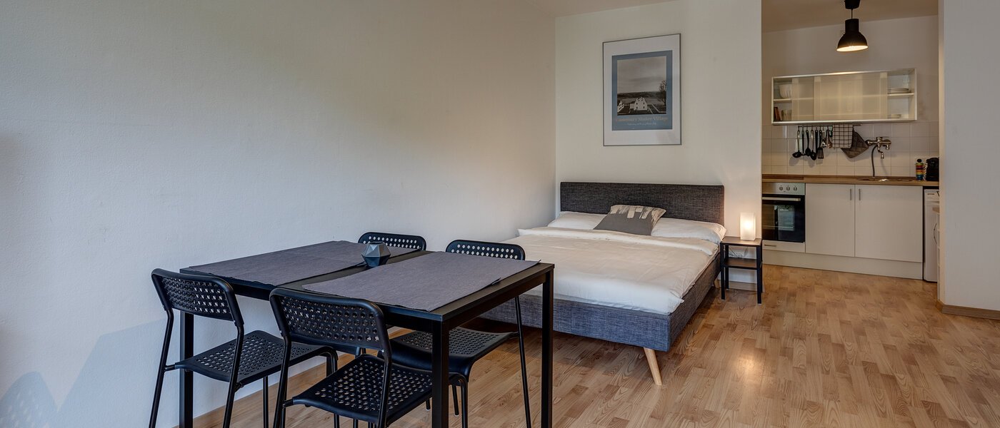 apartamento München Maxvorstadt - Rund um den Josephplatz 04 zona de día  11083