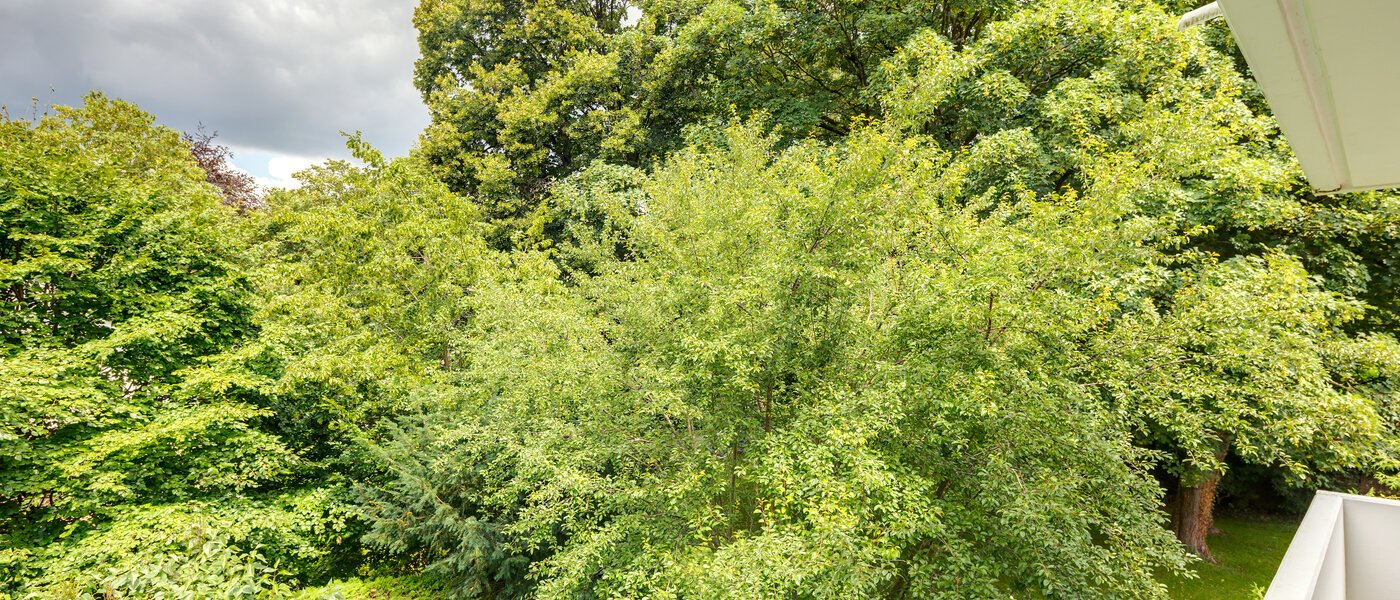 apartamento München Herzogpark 04 vista 11149