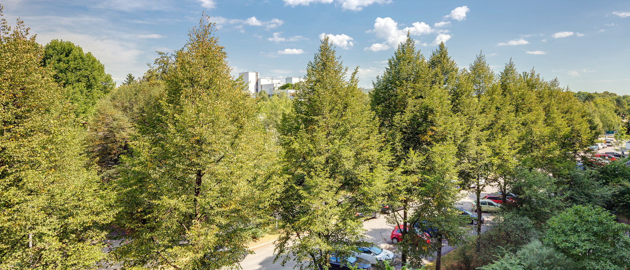 apartamento München Schwabing-West 02 vista 11193