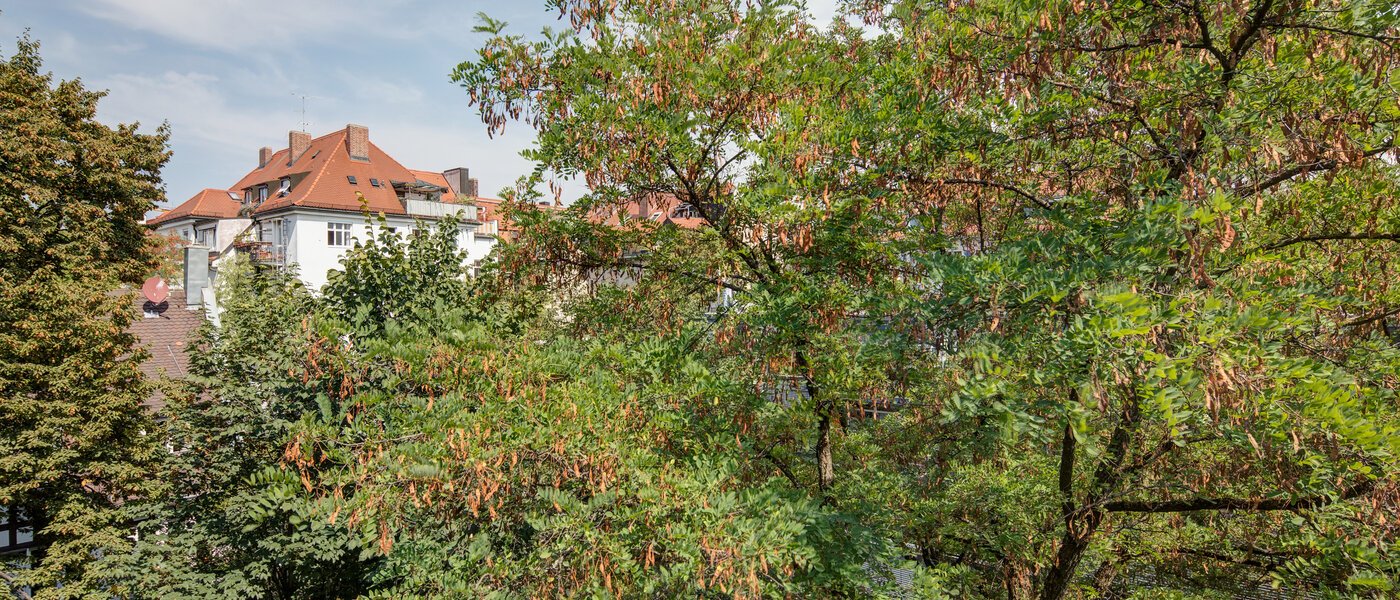 apartamento München Schwabing 01 vista 11220