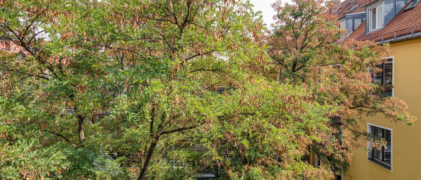 apartamento München Schwabing 02 vista 11220