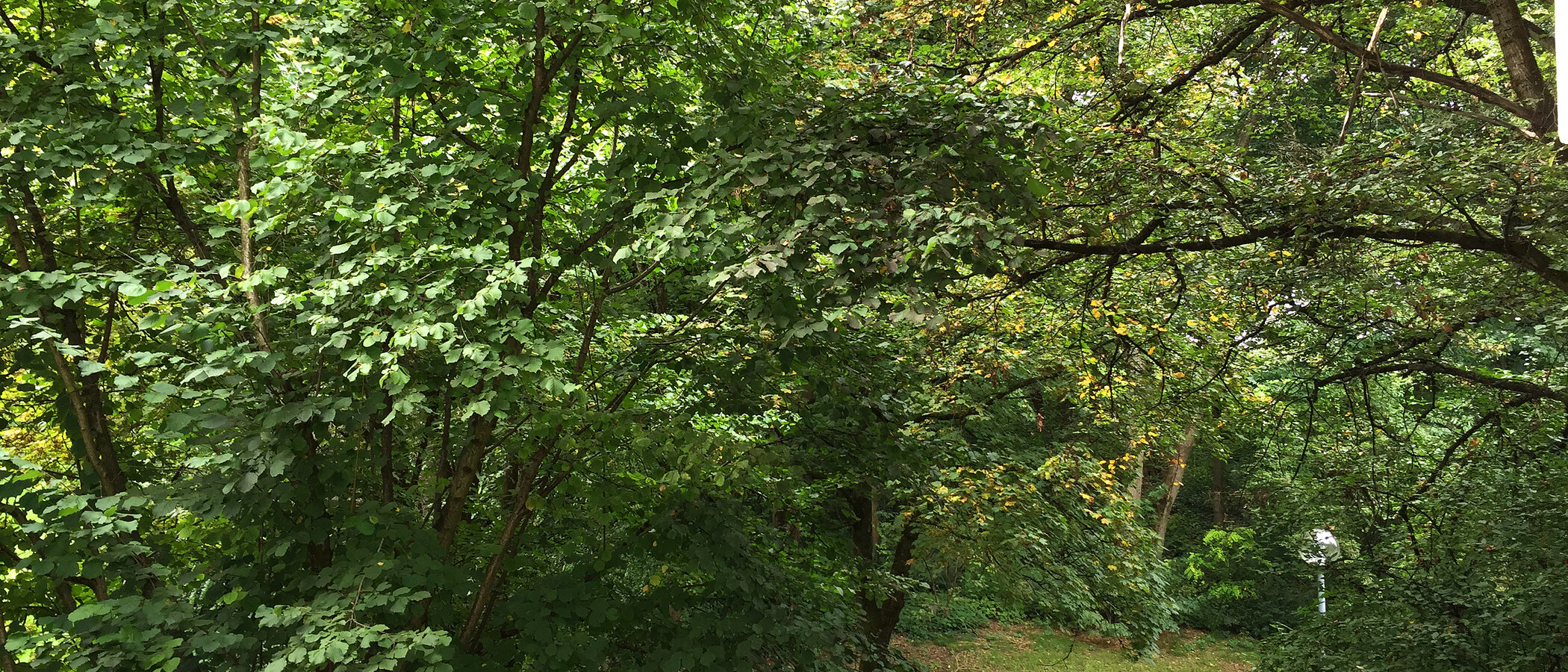 apartamento München Schwabing-West 01 vista 11238