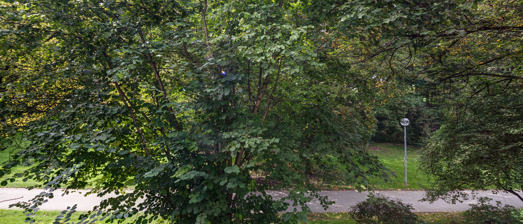 apartamento München Schwabing-West 03 vista 11238