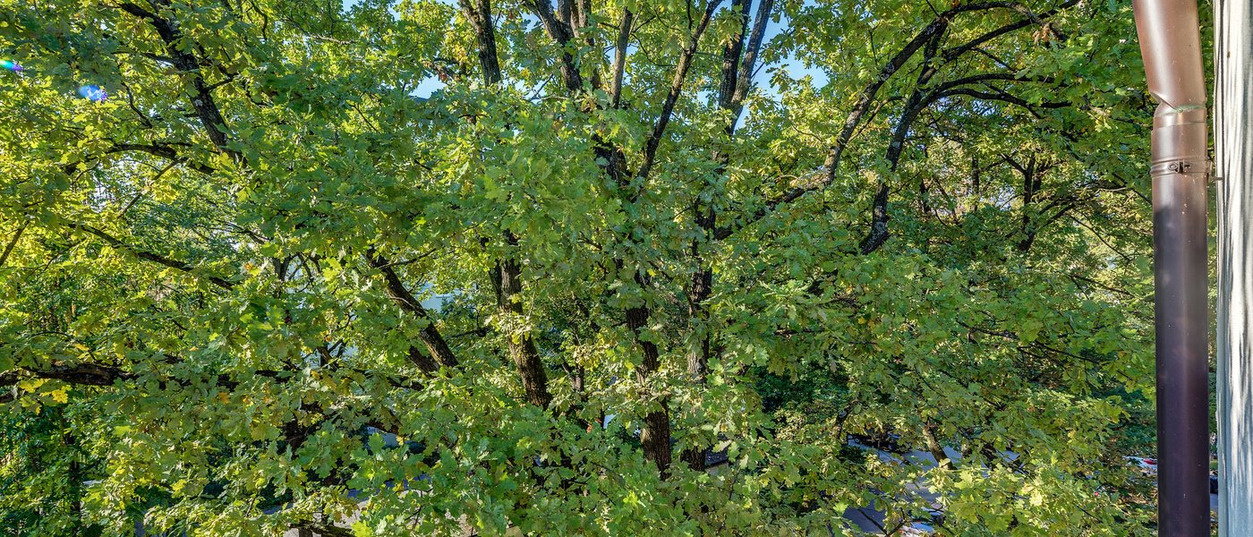 apartamento München Parkstadt Bogenhausen 05 vista 11256