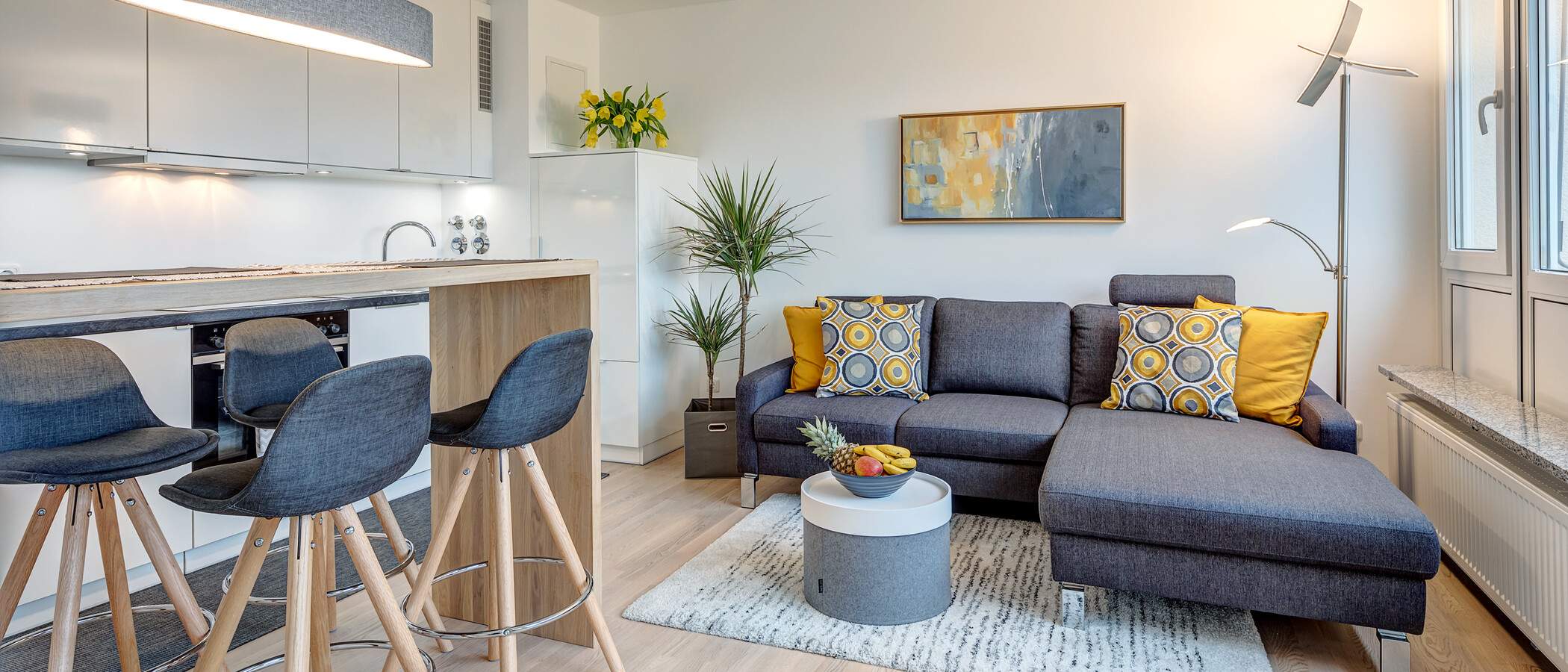 apartamento München Pasing 01 zona de día  11456