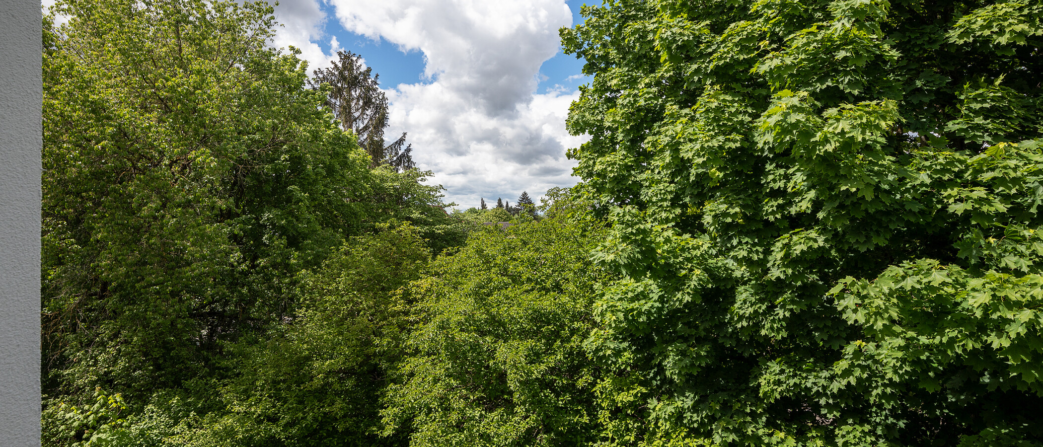apartamento München Nymphenburg 05 vista 11535