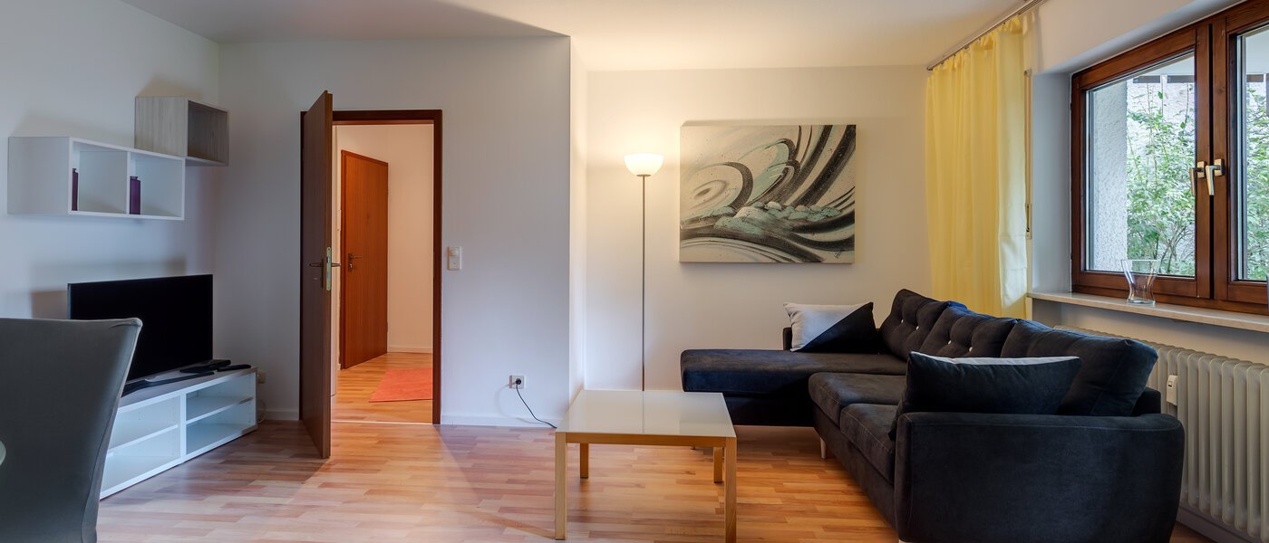 apartamento München Harlaching 01 salón 1155