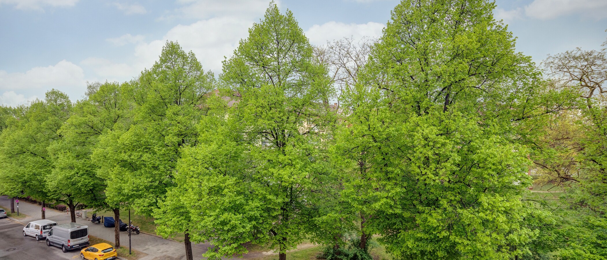 apartamento München Milbertshofen 01 vista 11553