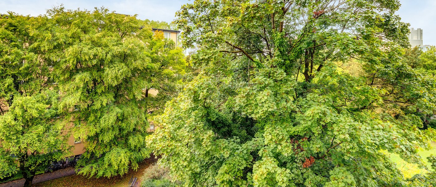 apartamento München Parkstadt Bogenhausen 02 vista 1160