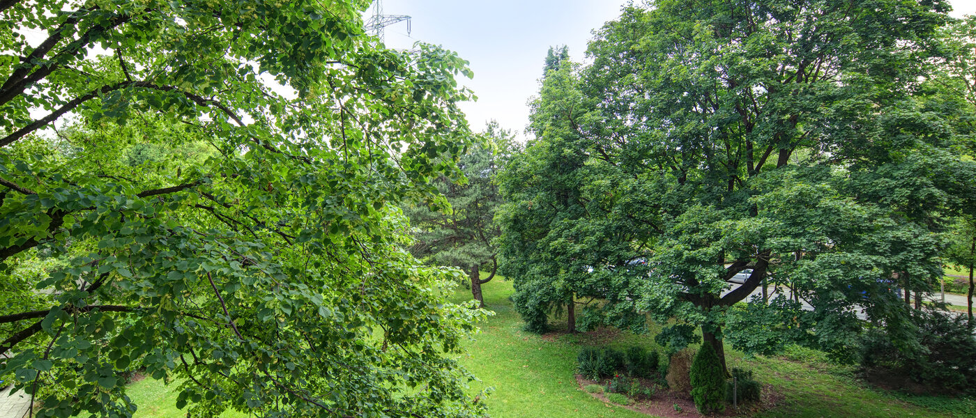 apartamento München Aubing 02 vista 11641