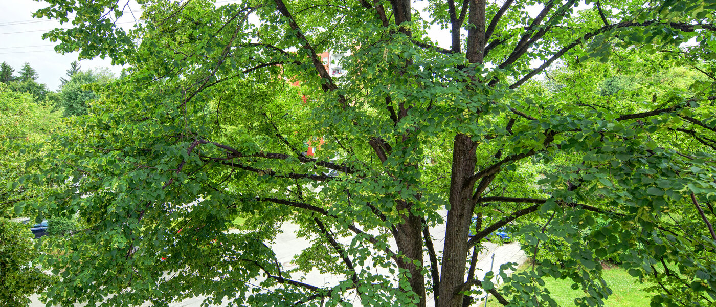 apartamento München Aubing 03 vista 11641