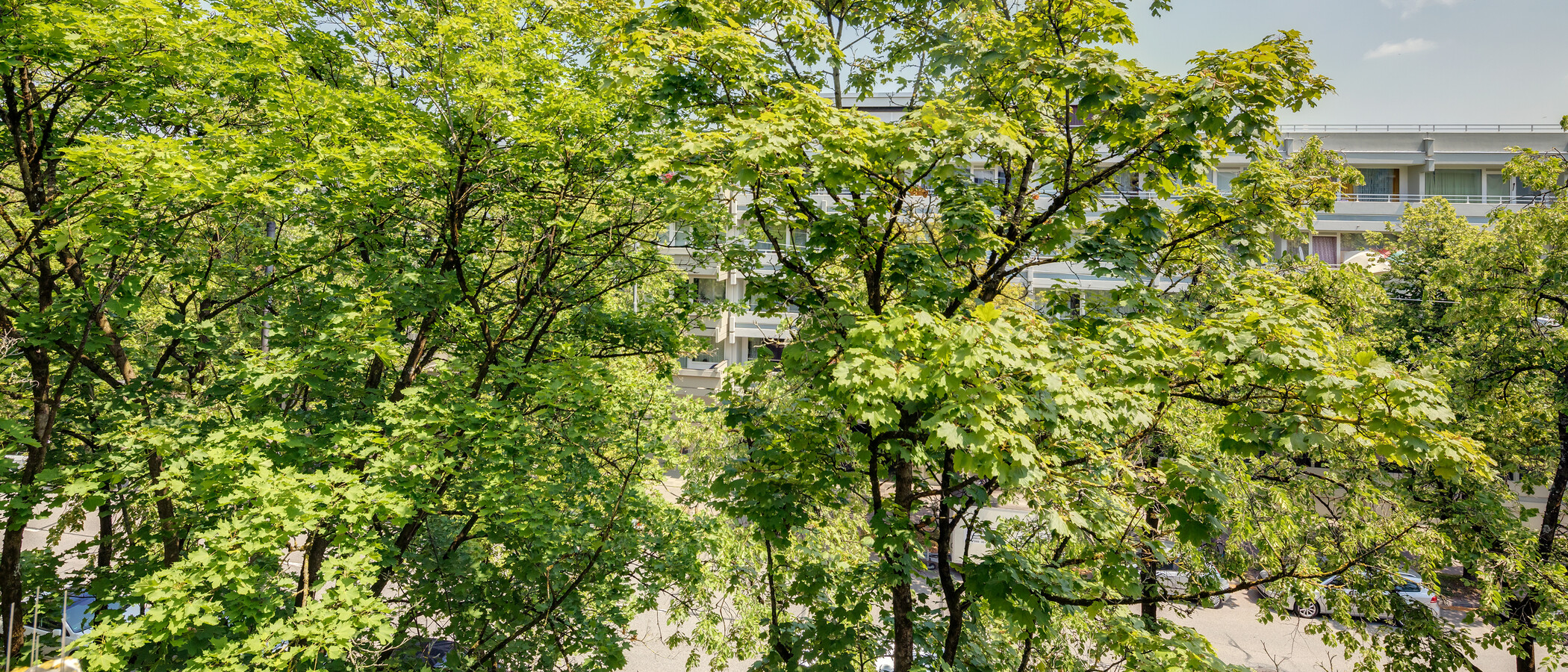 apartamento München Milbertshofen 01 vista 11650