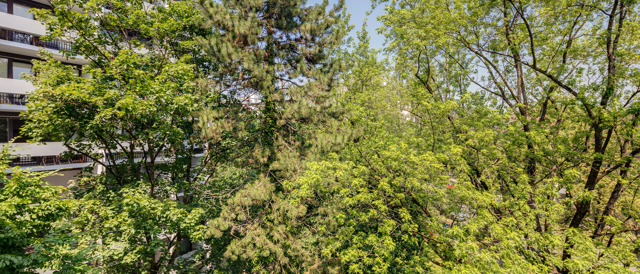 apartamento München Milbertshofen 03 vista 11650