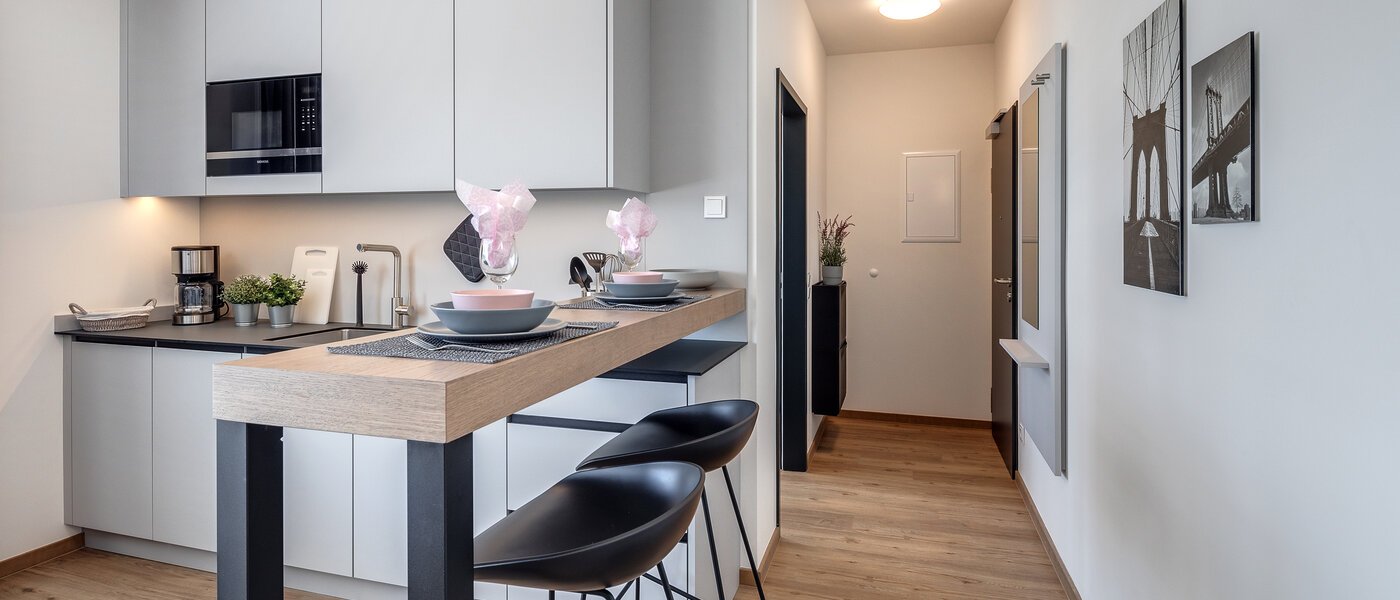 apartamento Eching 04 zona de día  11666