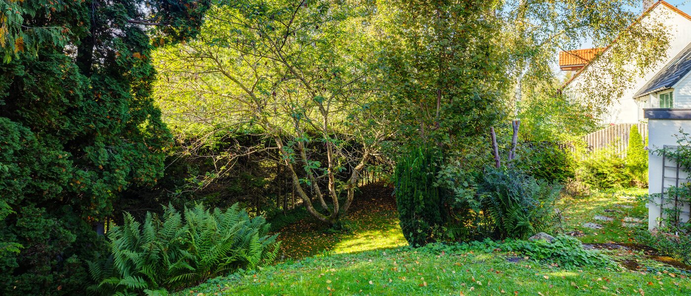 piso con jardín Feldafing 02 jardín 11698