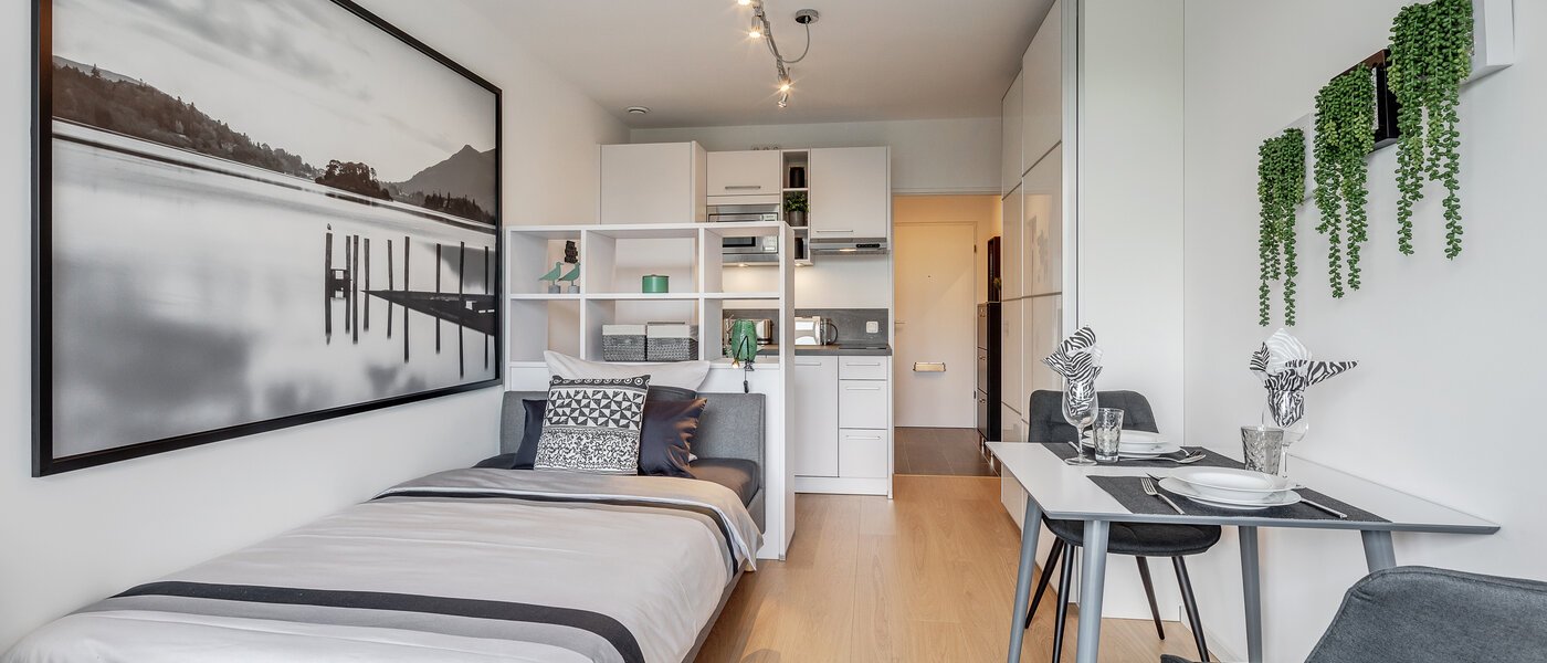 apartamento München Haidhausen 03 zona de día  11768