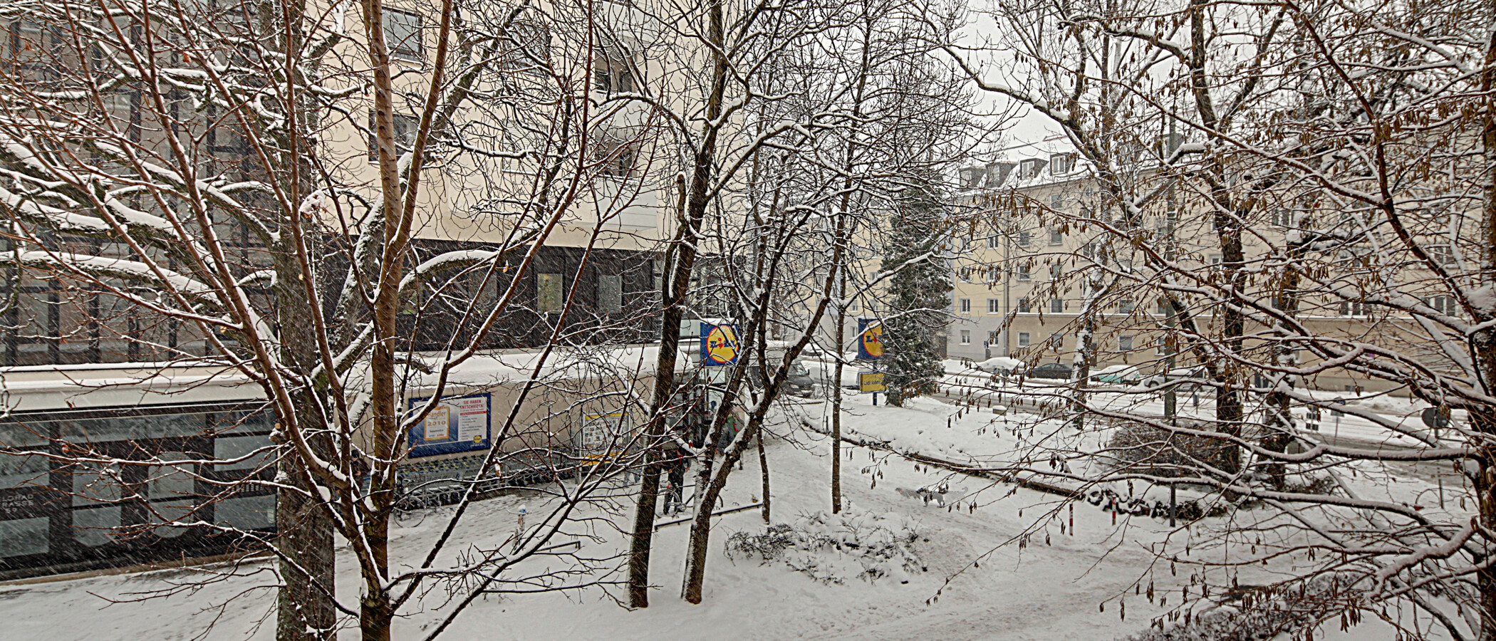 apartamento München Schwabing (links der Leopoldstraße) 03 vista 1191
