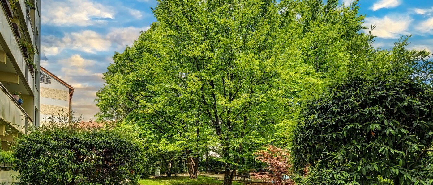 apartamento München Neuhausen 03 vista 12163