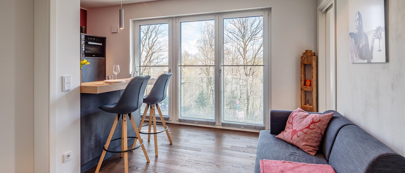 apartamento München Thalkirchen 02 zona de día  12190