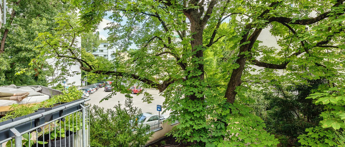 apartamento München Schwabing 03 vista 12216