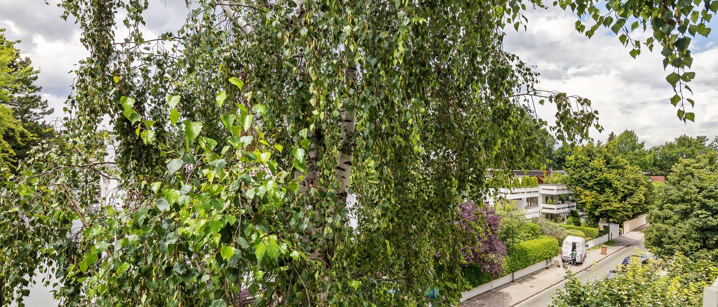 apartamento München Herzogpark 03 vista 12265