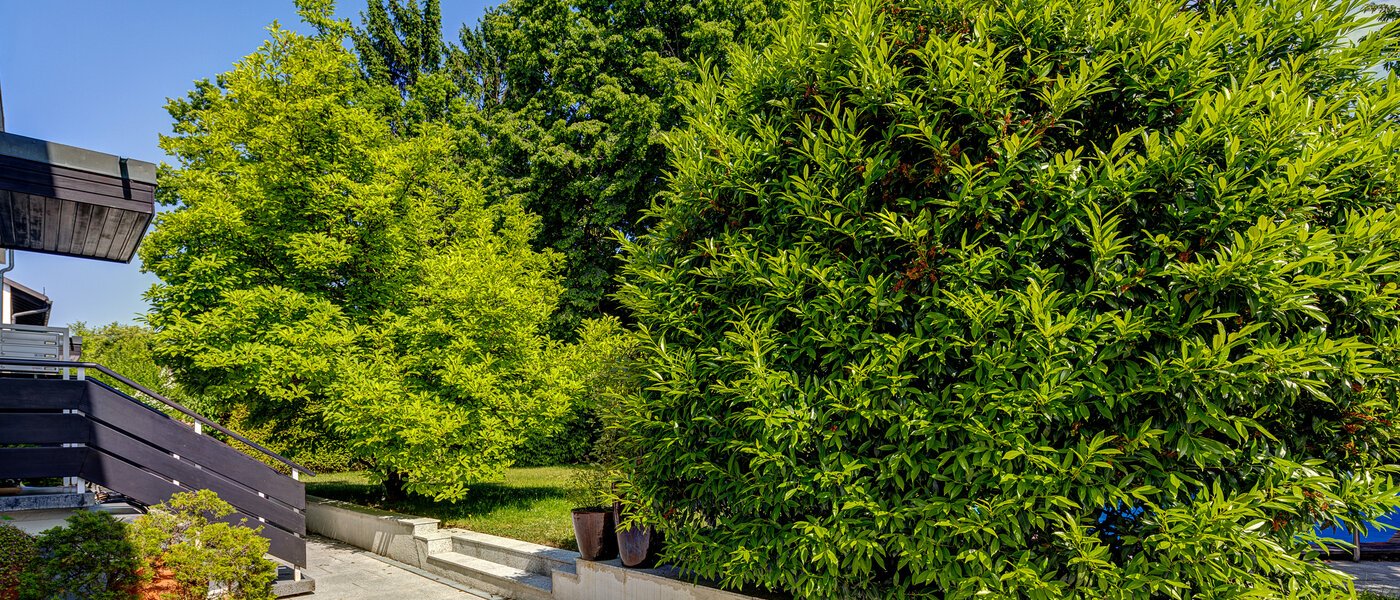 dúplex München Cosimapark 06 instalaciones comunes 12301