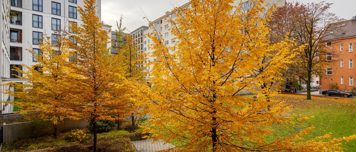 apartamento München Bogenhausen 01 vista 12389