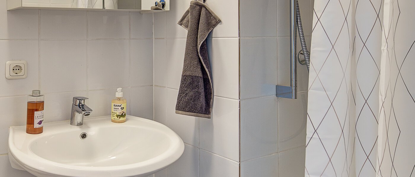 apartamento München Isarvorstadt 02 baño 12468