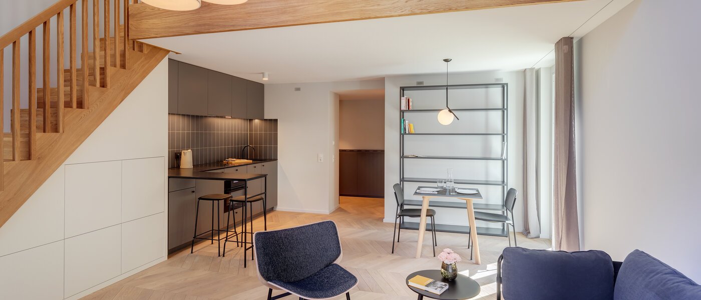 dúplex con galería München Herzogpark 04 zona de día  12522