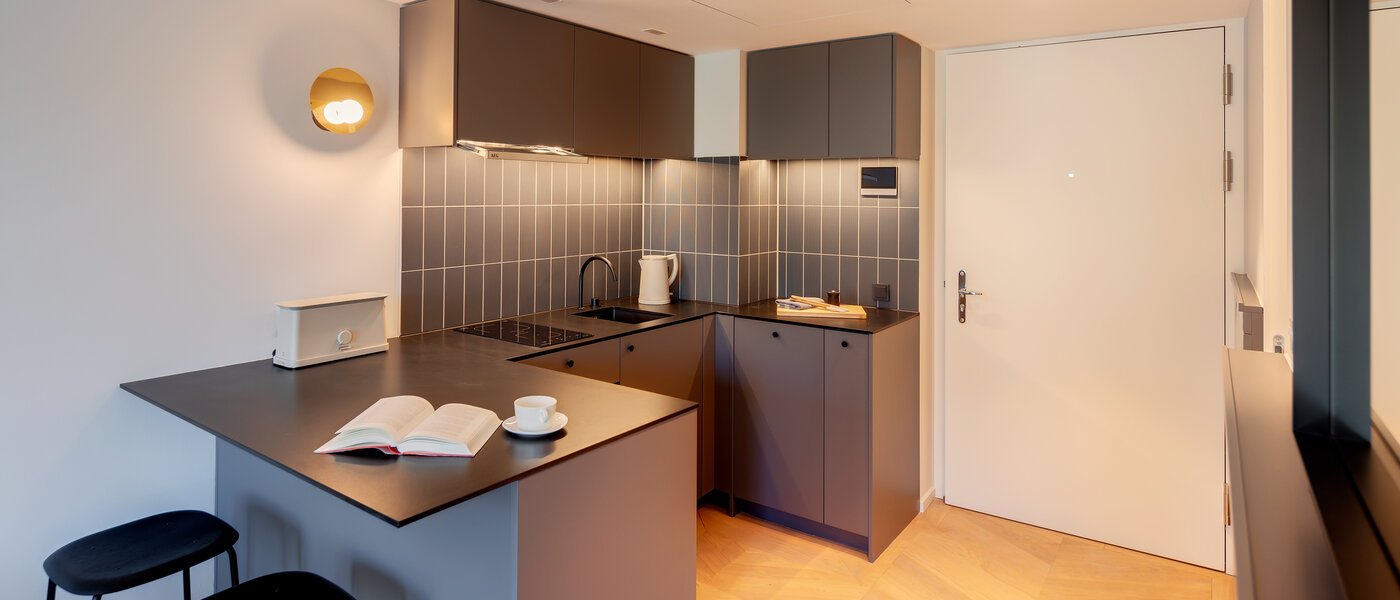 apartamento München Herzogpark 01 cocina 12523