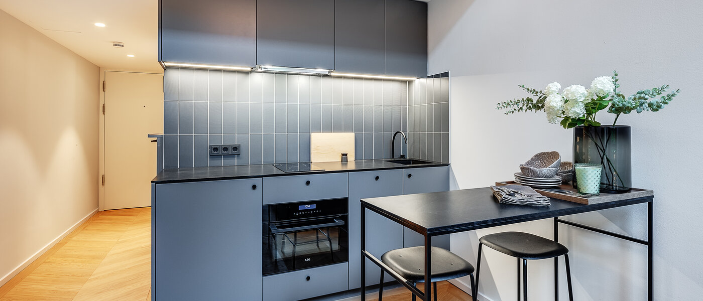 dúplex con galería München Herzogpark 01 cocina 12618