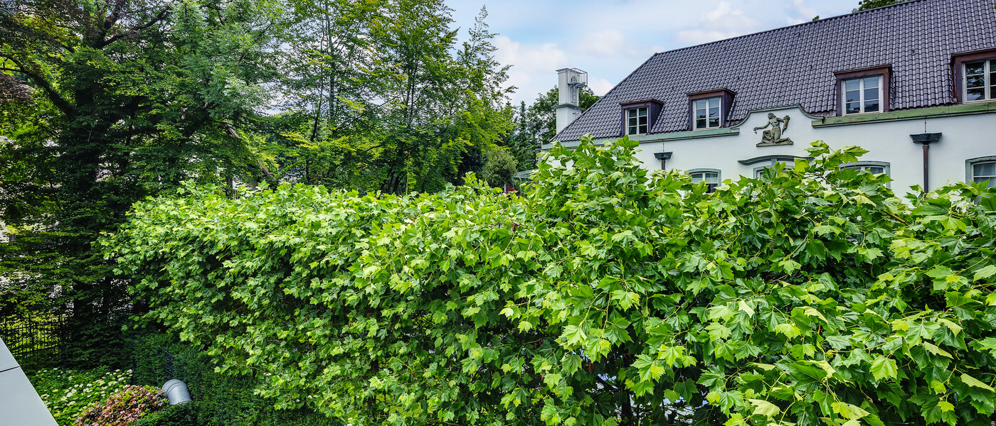 apartamento München Herzogpark 02 vista 12619