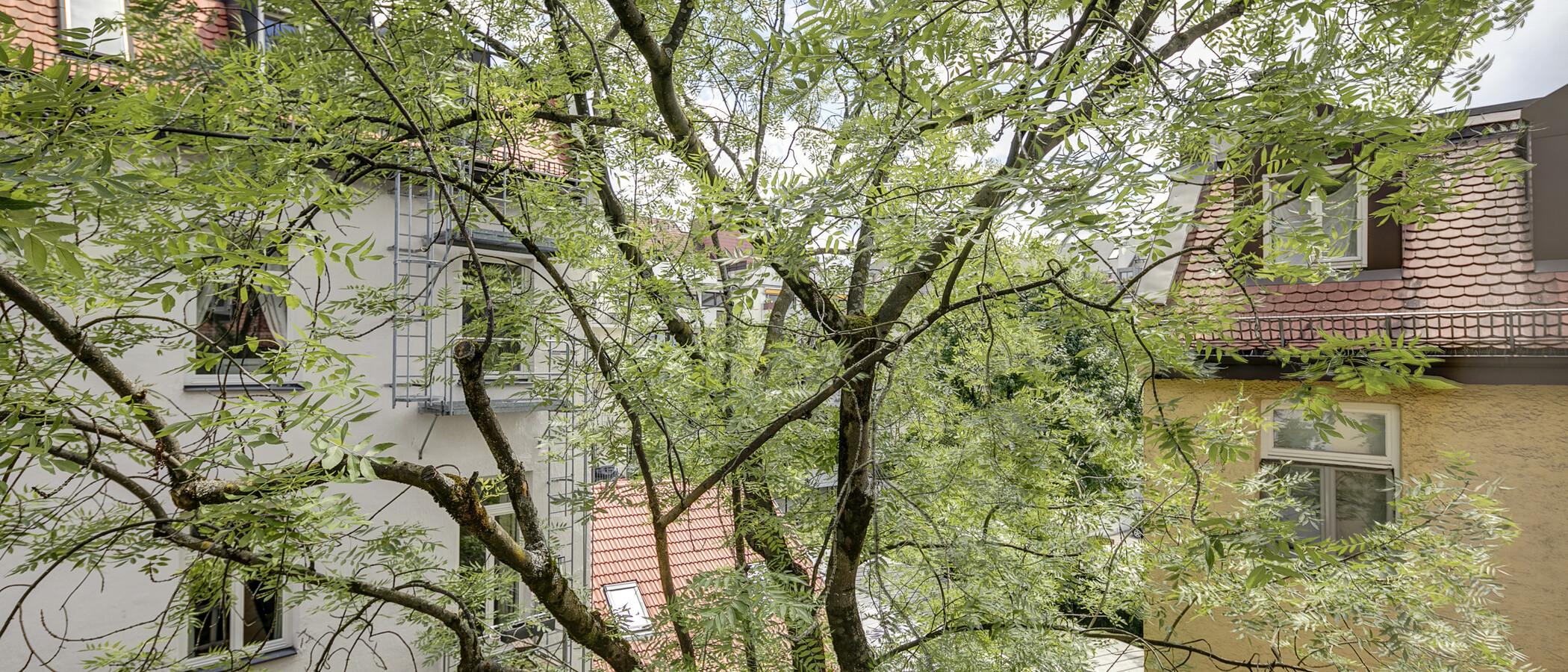 apartamento München Schwabing (links der Leopoldstraße) 01 vista 1262
