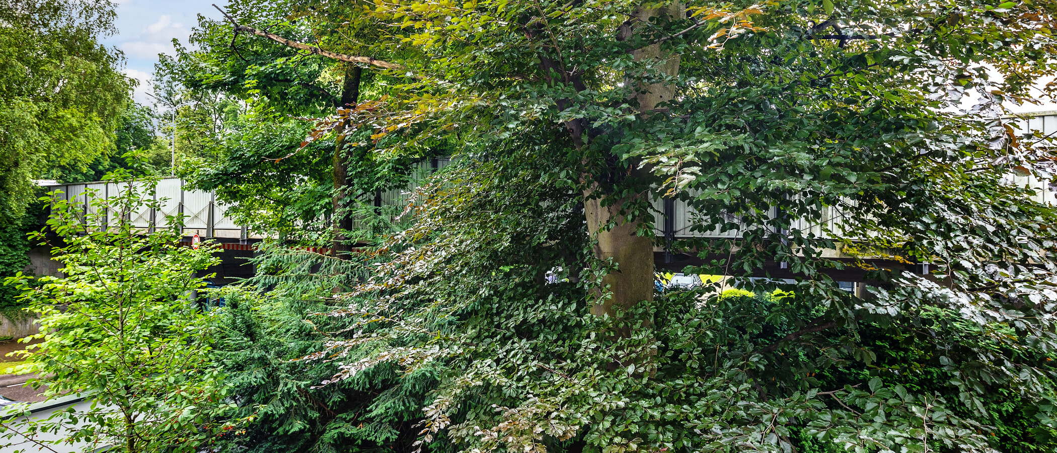 apartamento München Herzogpark 04 vista 12628