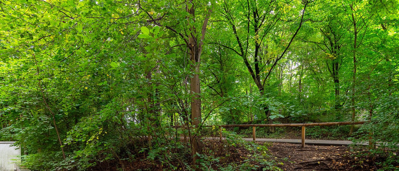 apartamento München Thalkirchen 02 vista 12695