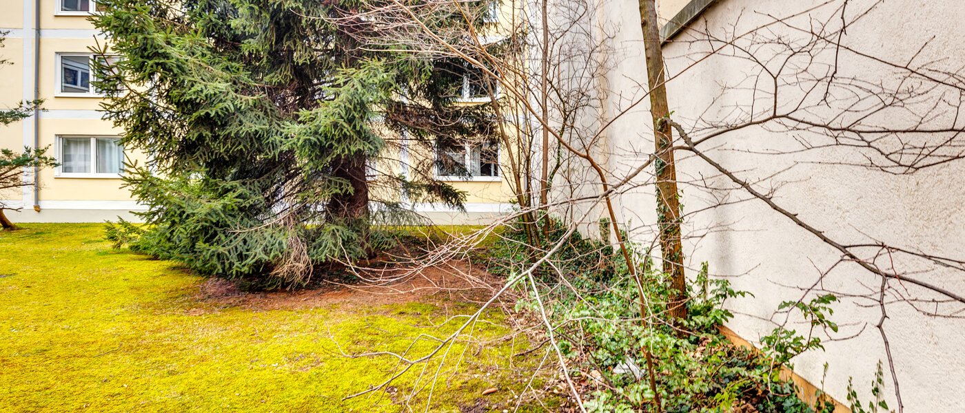 apartamento München Maxvorstadt - Universitätsviertel 02 vista 12898