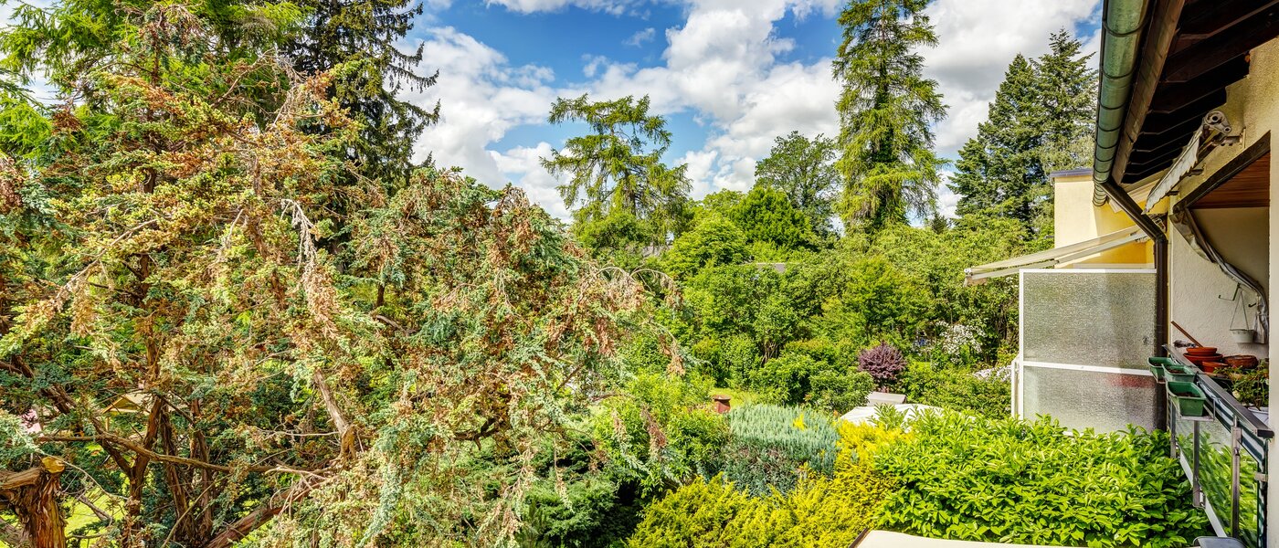 apartamento München Berg am Laim 03 vista 13039